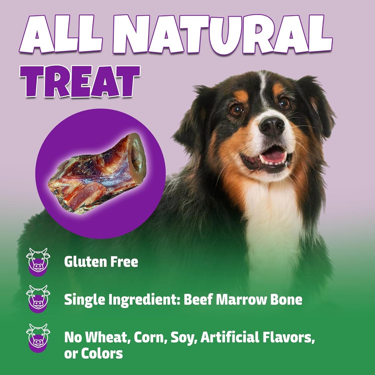 Marrow Bones for Dogs Large, Medium, & Small, All-Natural, USA Made, Healthy Bone Marrow Dog Treats, Filled Beef Bones That Support Dental Health, 3-Inch, 6 Count