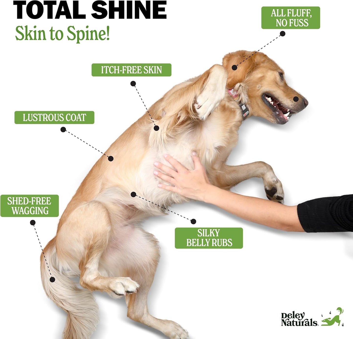 Deley Naturals Skin & Coat Chews - Dog Allergy Chews with Omega 3 Fish Oil, Biotin, Collagen and Essential Vitamins - Supports Dog Itching Skin Relief, Reduces Dryness and Healthy Coat - Made in USA