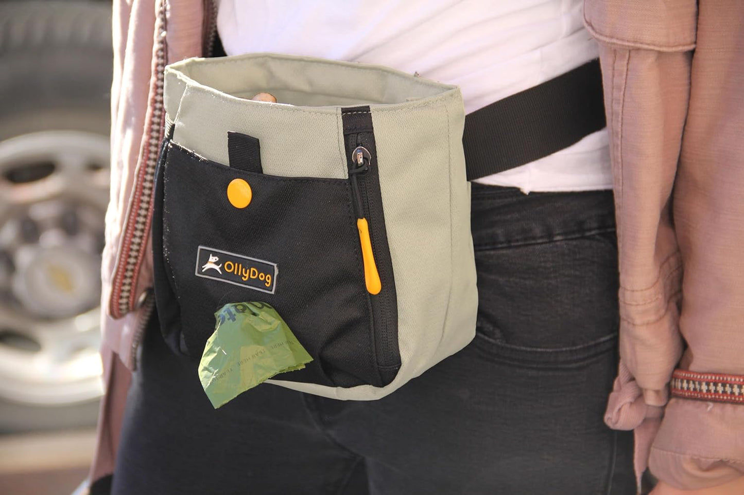 OllyDog Backcountry Day Bag | Hands-Free Dog Training Treat Pouch | Fanny/Hip Pack with Zipper Closure & Built-in Poop Bag Dispenser | Removable Waist Clip (Bluff)