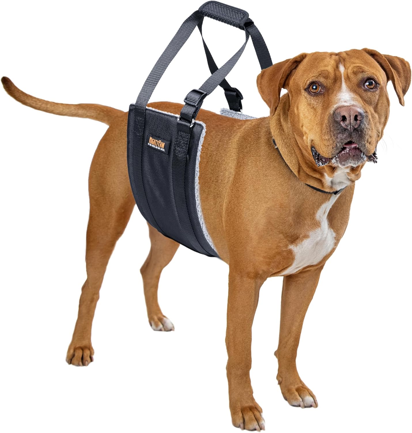 Mighty Paw Dog Lift Harness - 20-60 lbs Dog Hip and Hind Leg Support Sling - Comfortable Assistance for Elderly or Injured Pets with Hip and ACL Brace - Back Support Harness Carrying Sling - Medium