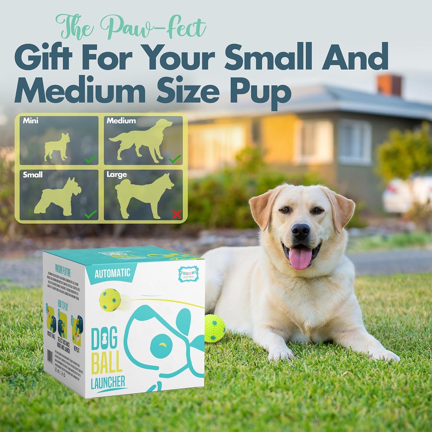 Automatic Dog Ball Launcher - Dog Ball Fetch Machine, Ball Thrower for Dogs, for Small to Medium Sized Dogs, Interactive Dog Toy with 6 Latex Balls, Plug-in & Battery Options - 4 Launch Distances