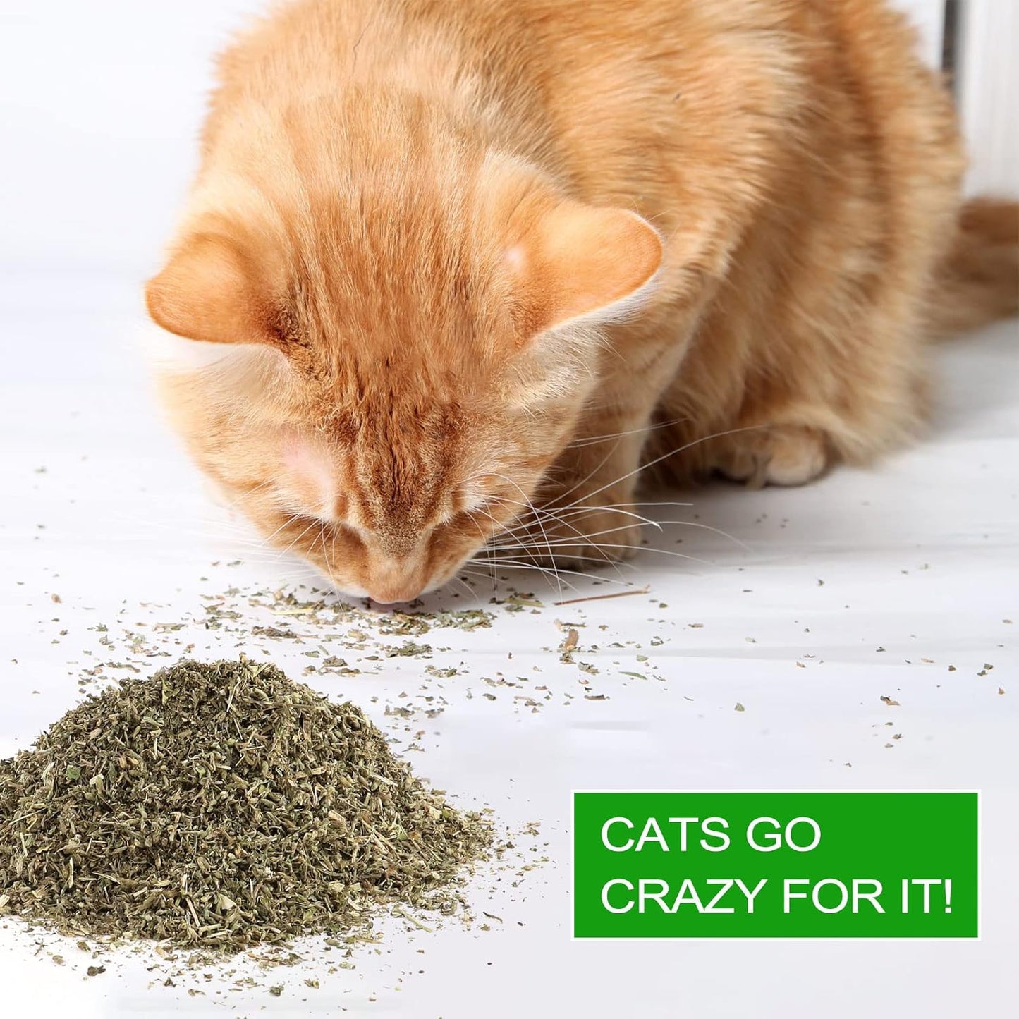 Dried Catnip, Natural Catmint, Used as a Snack or Filling Cat Toy, Delicately Dried and Sealed and Packaged for Easy Preservation (50g)
