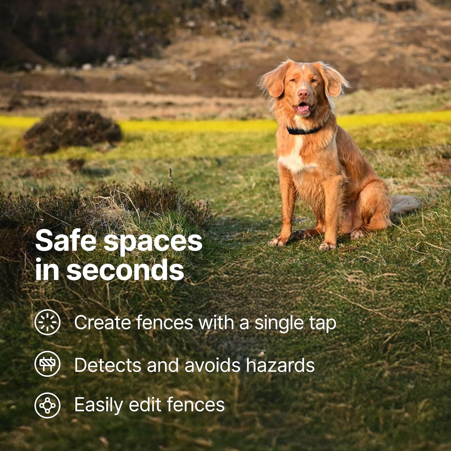 Halo Collar 5, New Wireless Dog Fence & GPS Dog Collar, Subscription Required, Waterproof, Blaze, One Size