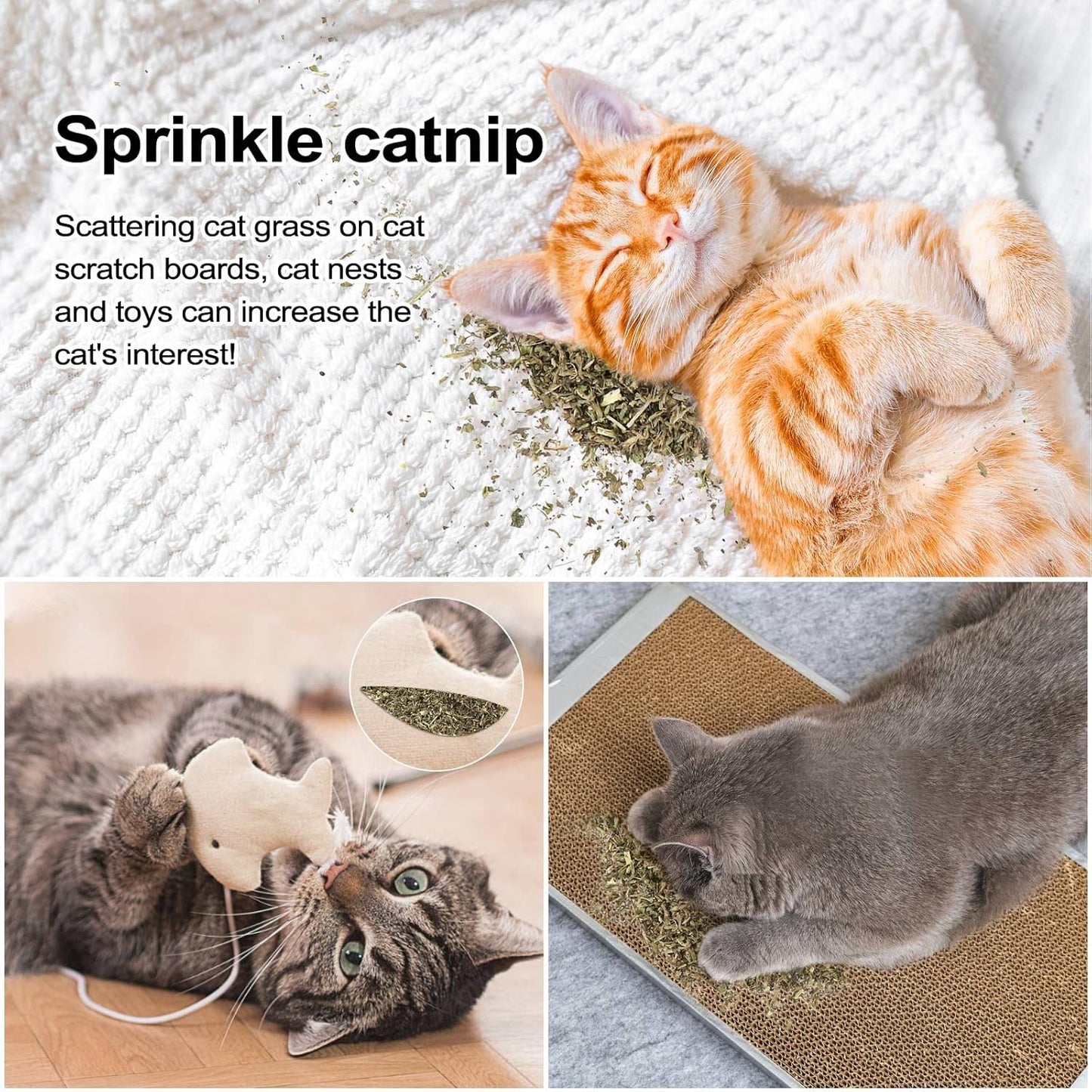 Dried Catnip, Natural Catmint, Used as a Snack or Filling Cat Toy, Delicately Dried and Sealed and Packaged for Easy Preservation (50g)