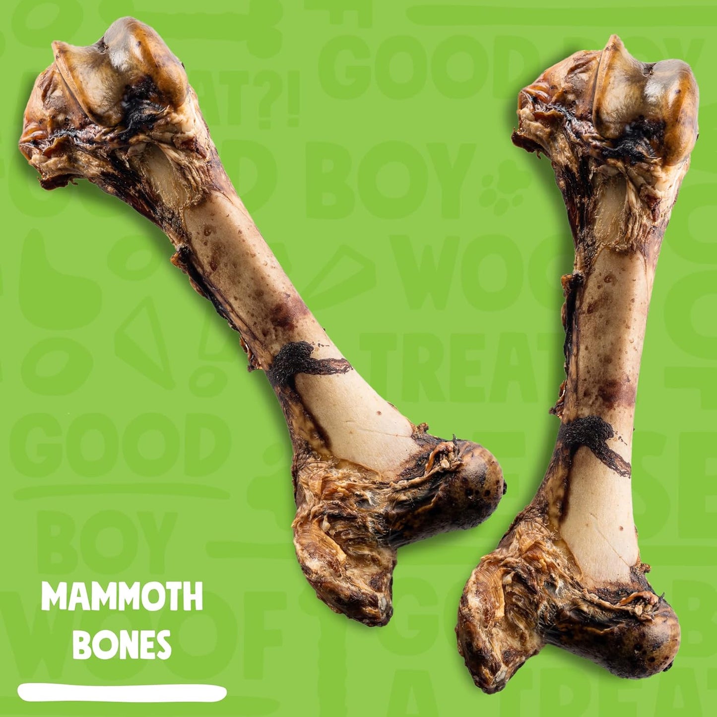 Mammoth Big Dog Bones for Large Dog Bone, 16" Femur Beef Bones for Agressive Chewers, Natural Giant Dog Bone (1 Pack)