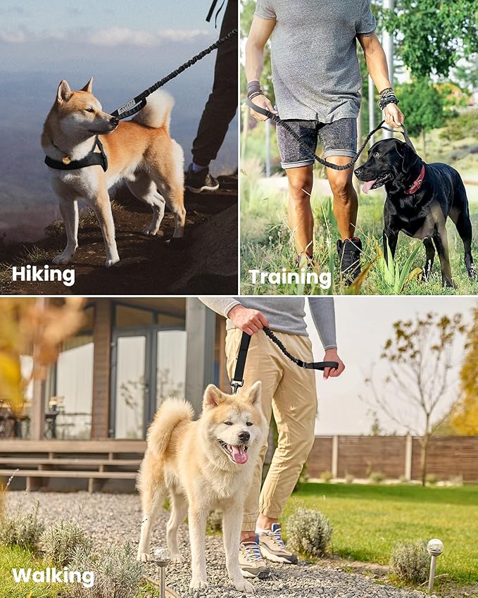 OutdoorMaster Bungee Dog Leash, Heavy Duty Dog Leash with Shock Absorption, 2 Padded Handles Training Leash, Improved Dog Safety and Comfort (Black, 6 FT)