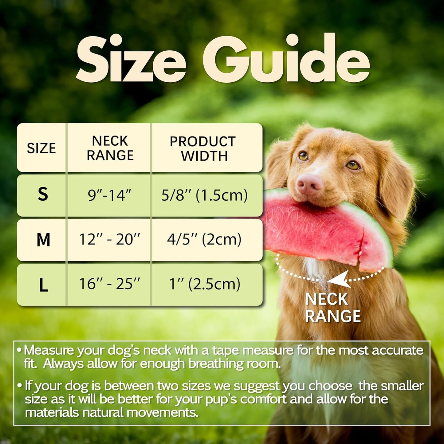 Heavy Duty Dog Collar, Durable Summer Watermelon Print Adjustable Collar with Aluminum D-Ring, Reflective Logo & Soft Padding Fits for Large Breed Dogs, Neck Size 16’’-25’’ (Watermelon, L)