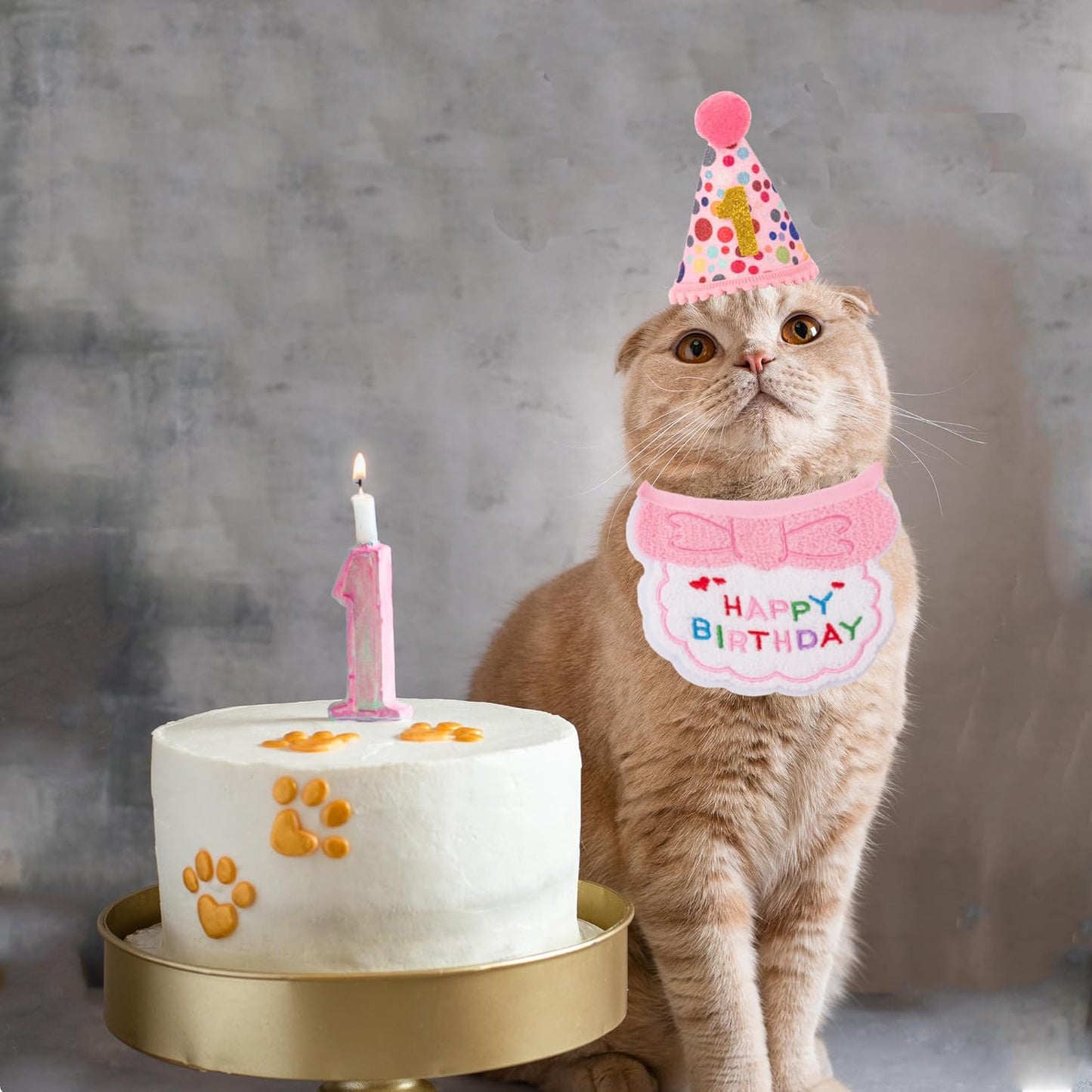 ADOGGYGO Cat Birthday Party Supplies, Pink Girl Cat Kitten Birthday Bandana Hat Numbers Pet Birthday Decorations Outfits