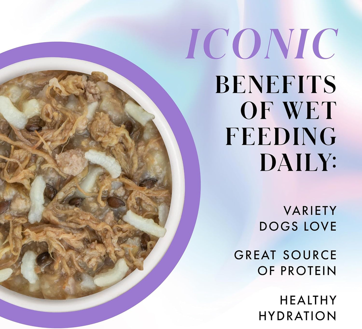 Weruva Paris Hilton Pamper Like Paris Natural Wet Dog Food, Beef and Rice, 2.75oz Cup (Pack of 10)