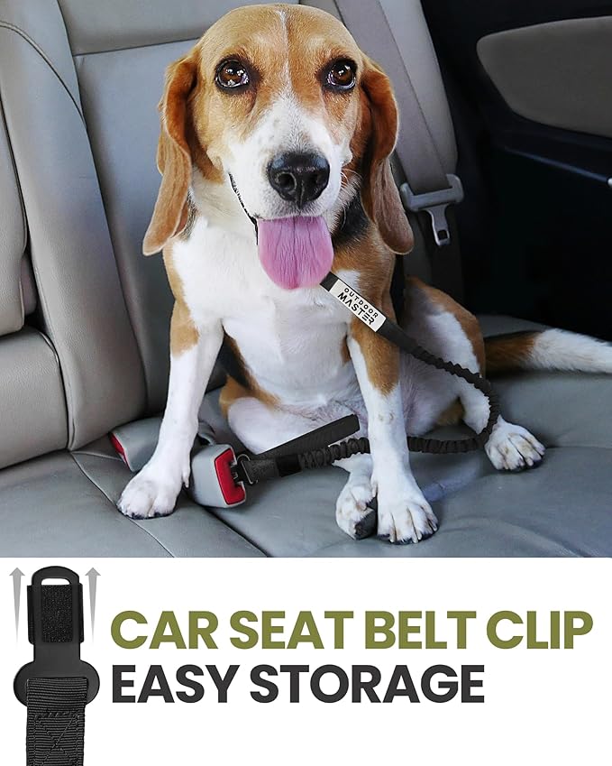 OutdoorMaster Bungee Leash, Heavy Duty with Shock Absorption, 2 Padded Handles Training Leash, Improved Dog Safety and Comfort - Black Upgraded, 4 FT