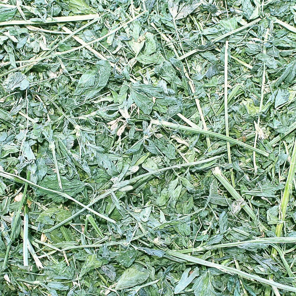 Grandpa's Best Premium Alfalfa Hay for Rabbits, Guinea Pigs, Chinchillas, Hamsters & Gerbils, 20lb Loose Boxed