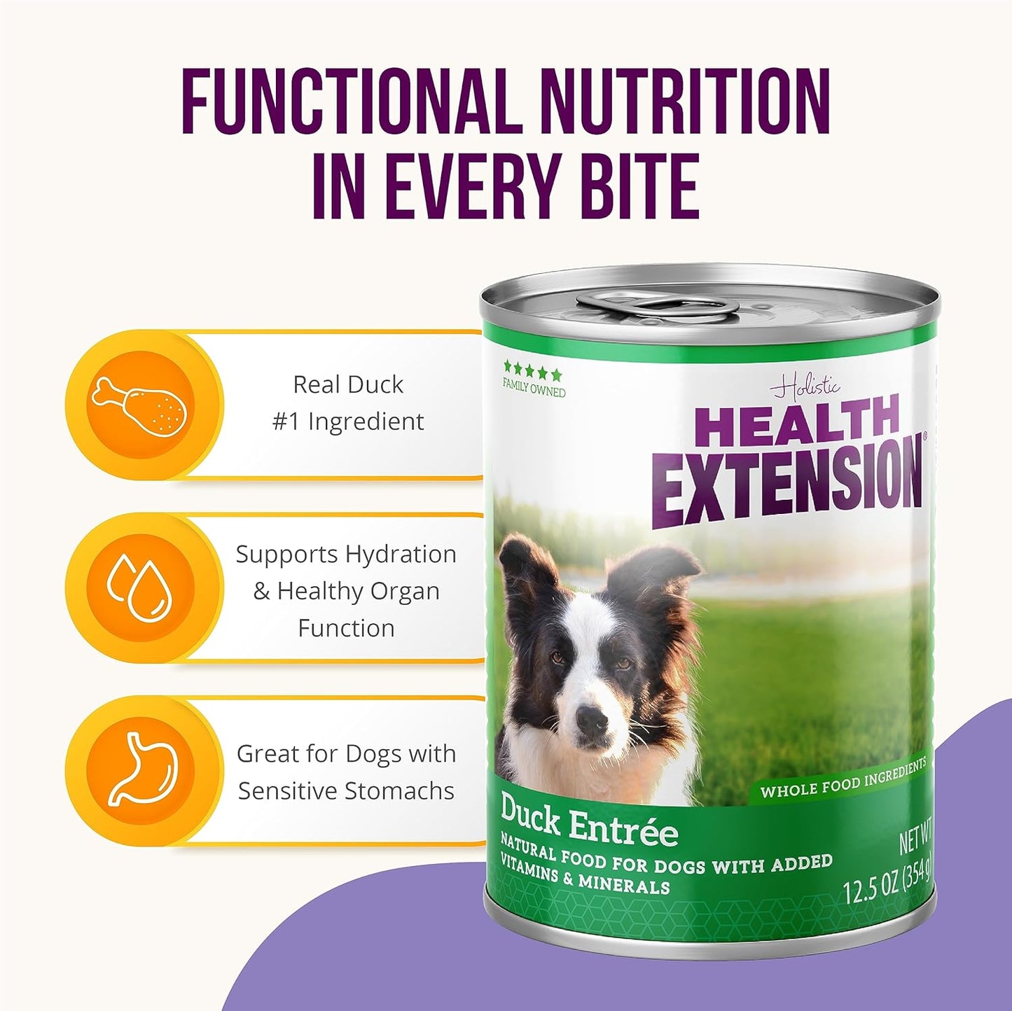 Health Extension Duck Entrée Wet Dog Food Grain-Free, 12.5 oz - Protein-Rich Recipe, Hydration Support, Ideal for Sensitive Stomachs (Case of 12 Cans)