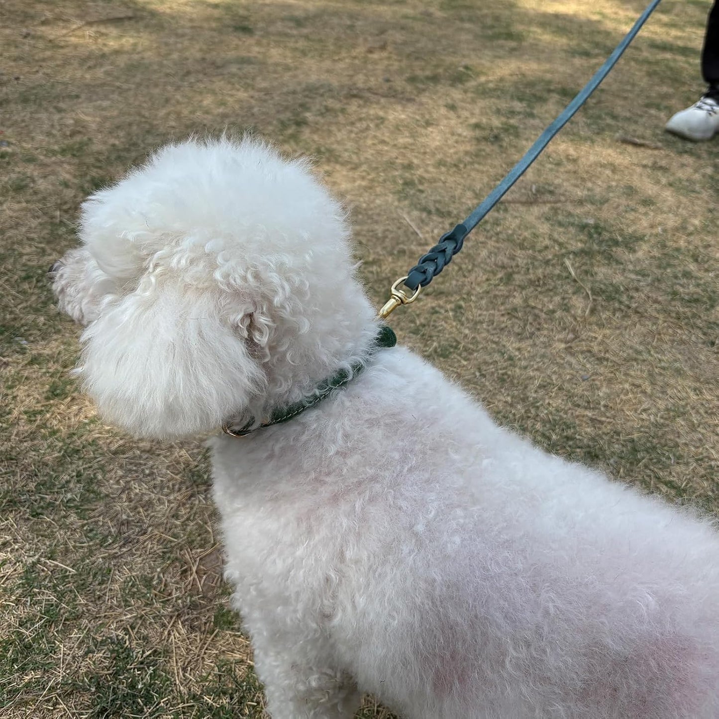 LWBMG Leather Dog Leash 4ft x 1/2 inch, Leather Dog Leash for Small Dogs, Strong Durable Handmade Braided Pet Lead, Soft and Comfortable Puppy Training Leashes for Small Medium Dogs Blue