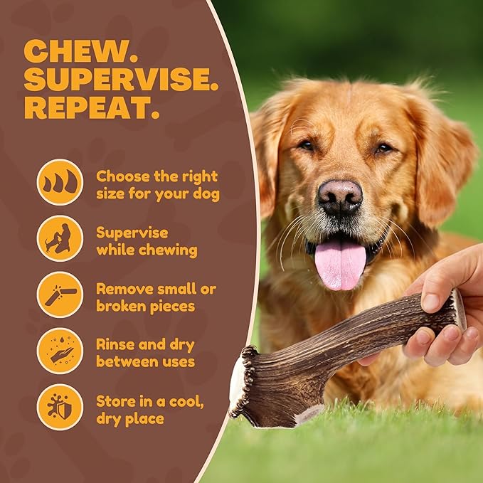 WhiteTail Naturals - Deer Antlers for Large Dogs - (1 Pack - Extra Large) - All Natural Dog Antler- Naturally Shed, Long Lasting Chew Bone, Crafted in USA for Aggressive Chewers