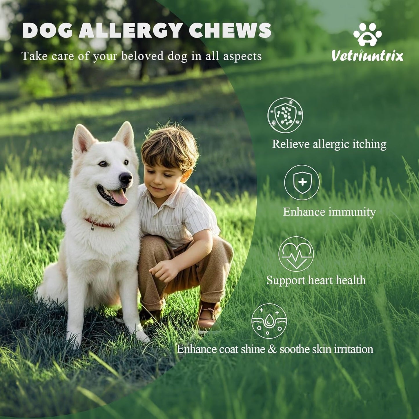 Dog Allergy Chews 120ct, Dogs Allergy Relief Chews for Paw Licking Itchy Skin Coat Supplement, Probiotics for Dogs with Colostrum Omega-3 Astragalus Immune Supplement