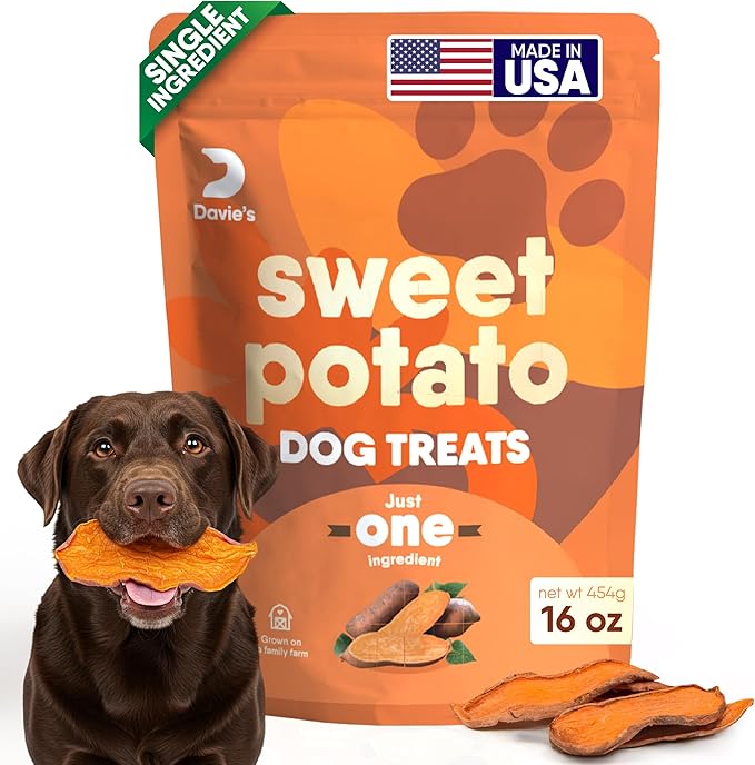 Davie's Sweet Potato Dog Treats - Healthy, Natural Dog Chews, Low Fat, 1 lb. Bag