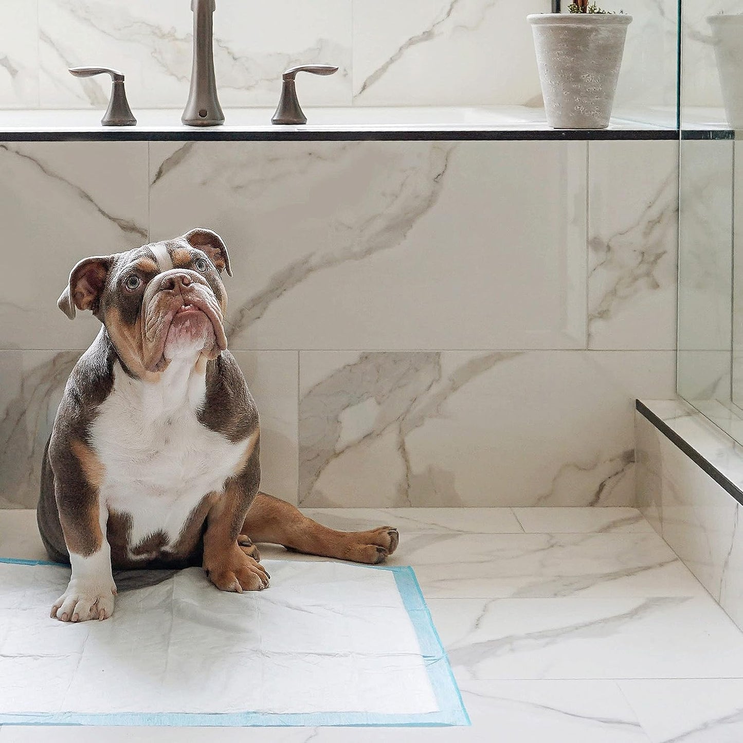 Four Paws Wee-Wee Superior Performance Unscented Pee Pads for Dogs & Puppies, Quilted Leak-Proof Dog Housebreaking Potty Training Floor Protection, 22" x 23", 14 Count