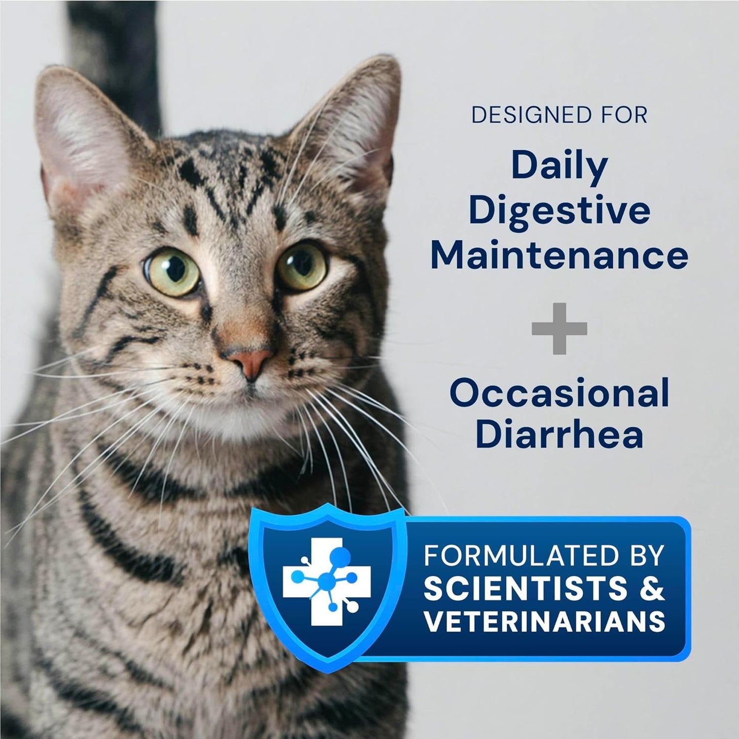 Cat Probiotics - GMP Prebiotics and Probiotics - Reduces Diarrhea Flareups for Cats - KittyBiome