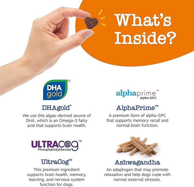 Zesty Paws Advanced Cognition Soft Chews for Dogs - with Omega 3 DHA, Ashwagandha & Alpha GPC - for Senior Dog Brain Health & Nervous System Support - Supplement for Calming & Relaxation - 90 Count