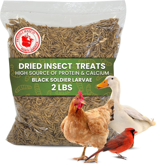 Dried Black Soldier Fly Larvae for Chicken - Treats for Hens, Duck, Wild Birds, Lizard, Tortoise, Fish - All Natural High Protein Dried Mealworms Alternative - Made in North America