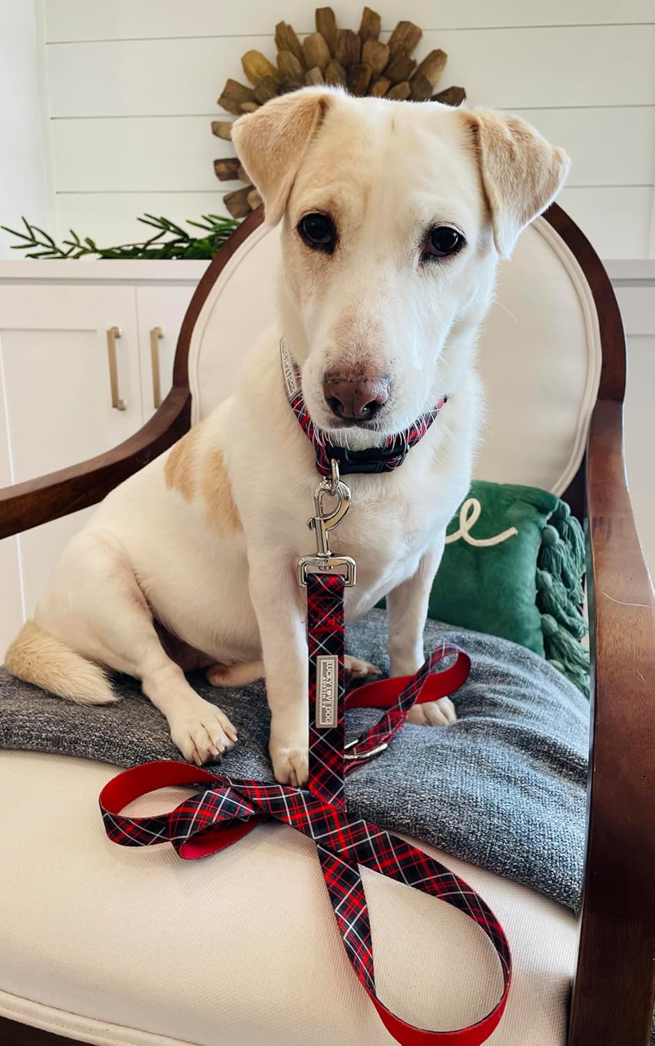 Lucky Love Dog - Easy Click Buckle Dog Collar with Leash Set Combo, Durable & Comfortable for Male & Female Dogs, Pet Collar for Small to Large Dogs, Secure Fit - Heywood Combo, Extra Small