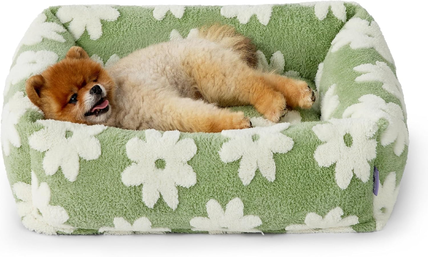 Lesure Cute Dog Bed for Small Dogs - Washable Puppy Beds,Cozy Rectangle Orthopedic Pet Sofa with Jacquard Shaggy Plush & Anti Slip Bottom,25x21x7inches