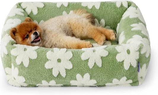 Lesure Cute Dog Bed for Small Dogs - Washable Puppy Beds,Cozy Rectangle Orthopedic Pet Sofa with Jacquard Shaggy Plush & Anti Slip Bottom,25x21x7inches