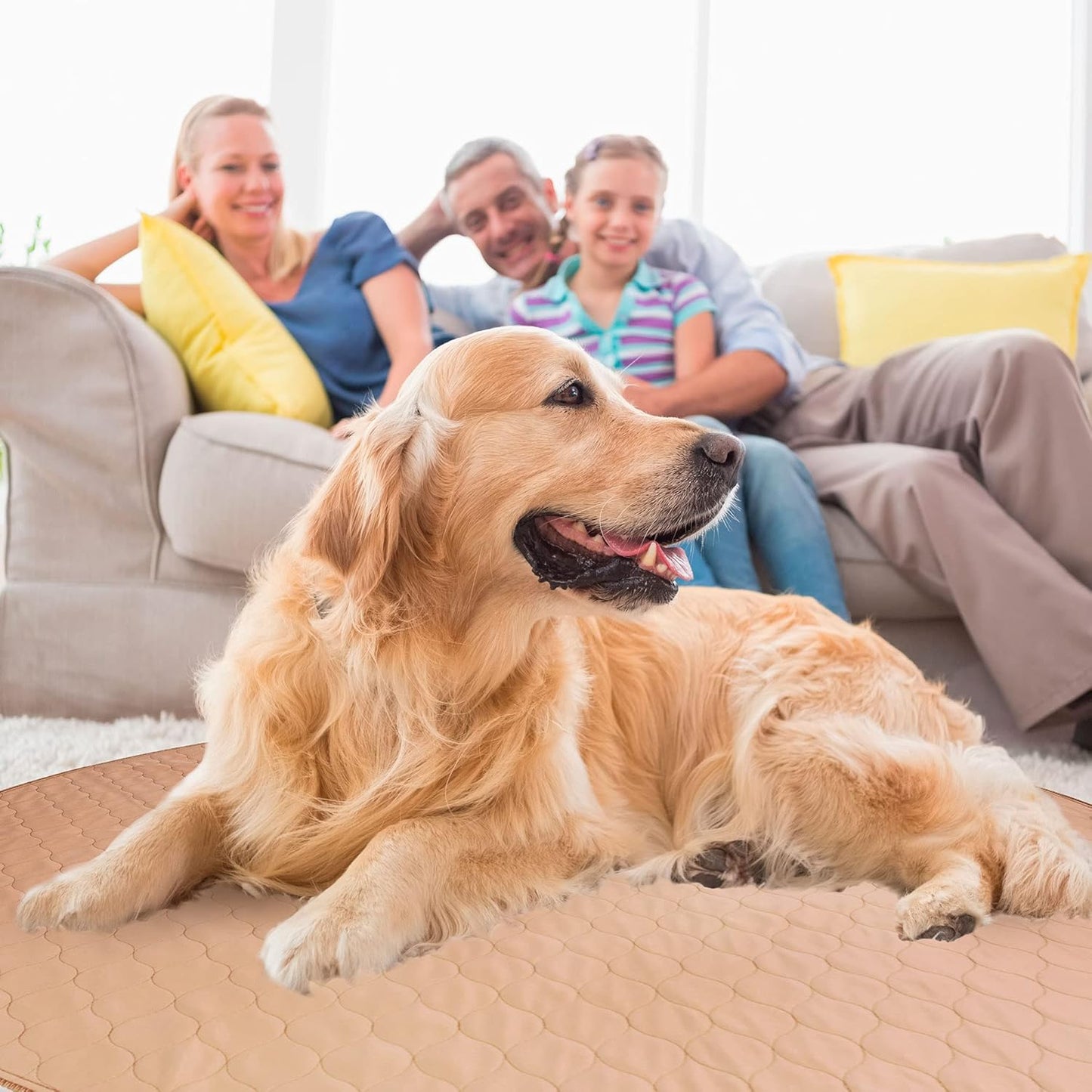 EZwhelp Reusable Dog Pee Pad, Washable Waterproof Mat for Dog Potty Training or Whelping Pad, Round, 36 Inch