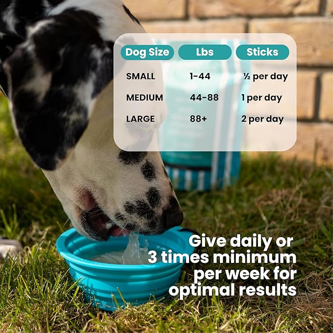 Advanced Joint & Hydration Supplement for Dogs – Vet-Approved - Soluble Powder with Collagen, Electrolytes, 7 Active Nutrients & Vitamins – Chicken Broth Flavor (Up to 4 Weeks Supply)