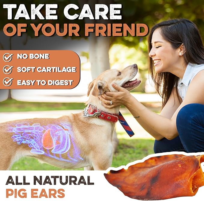 BRUTUS & BARNABY Pig Ears for Dogs, 25 Ct. – Whole or Half, All Natural Single Ingredient Dog Chews, Slow Cooked & Fully Digestible Rawhide Alternative