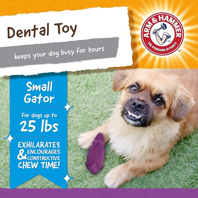 Arm & Hammer for Pets Super Treadz Mini Gator Dental Chew Toy for Dogs Best Dental Dog Chew Toy Dog Dental Chew Toys Reduce Plaque & Tartar Buildup Without Brushing (Pack of 24)