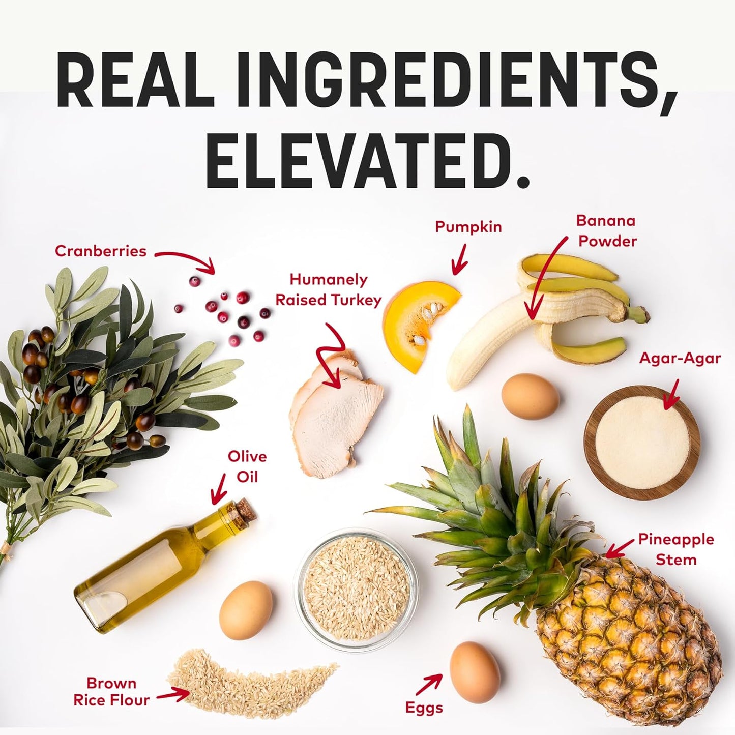 Earth Animal No-Hide Seasonal Stix Holiday Feast Recipe Natural Rawhide Alternative Dog & Cat Chews - 20 Count Value Pack