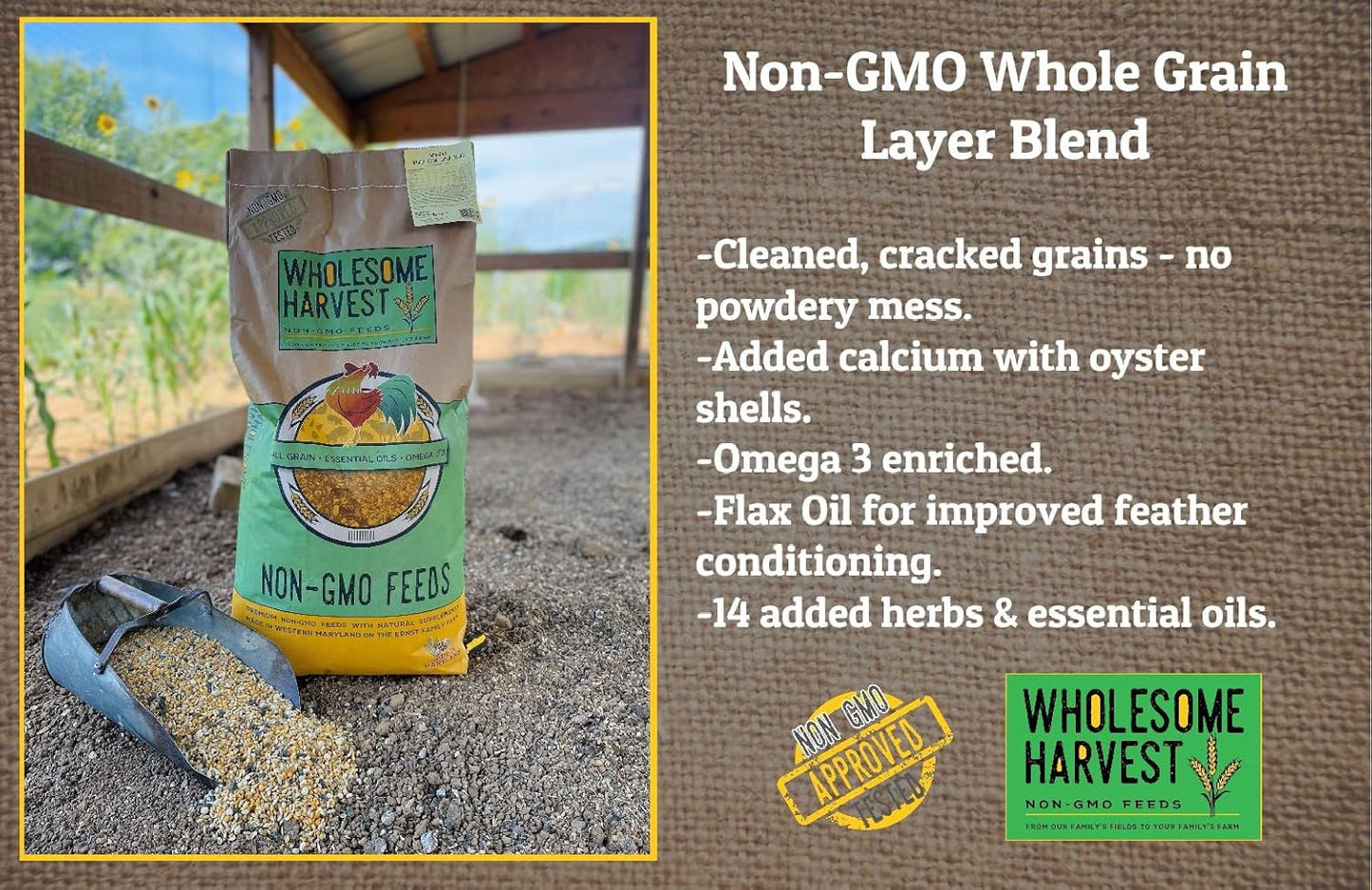 Non-GMO Whole Grain Layer Blend 16% - Chicken Feed for Laying Hens and Ducks - Includes Essential Oils, Herbs, Oyster Shells, Vital Minerals, and Omega 3, 10lb
