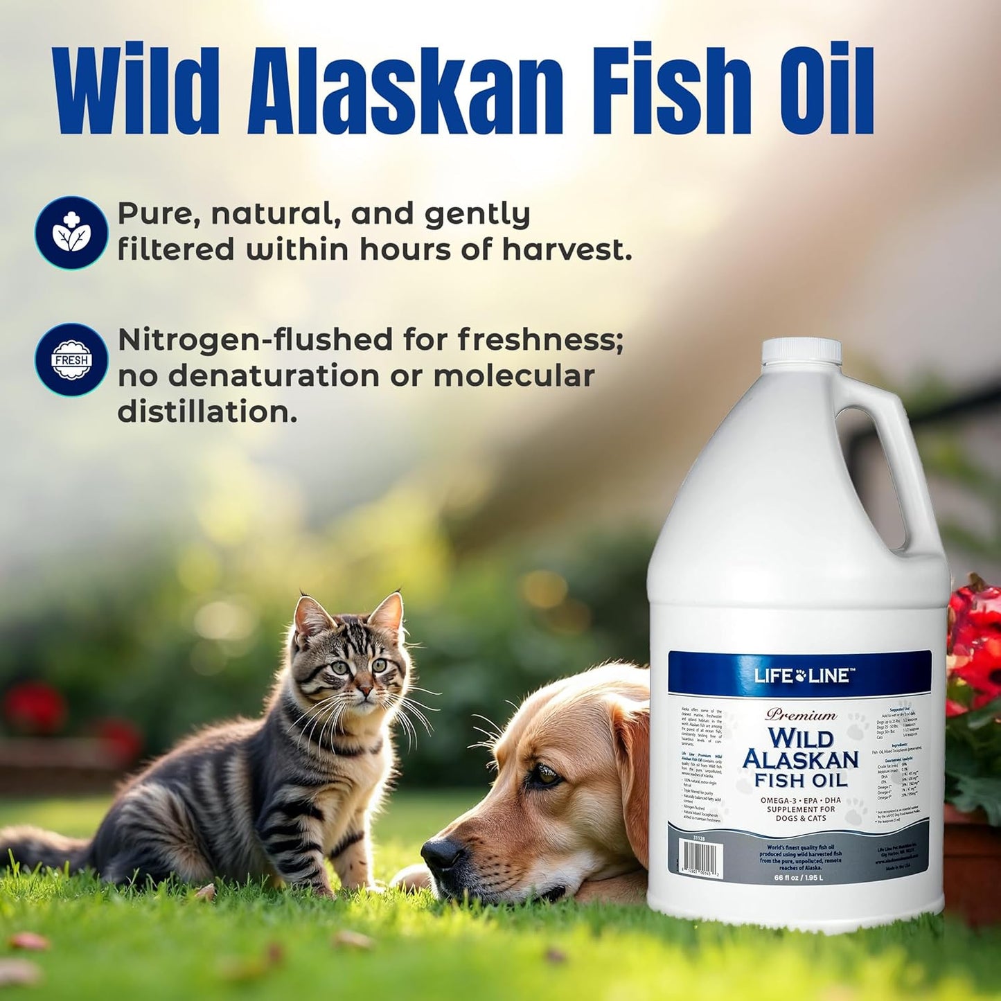 Life Line Pet Nutrition Wild Alaskan Fish Oil for Dogs and Cats 66oz – Omega 3 Fish Oil Supplement for Skin & Coat – Supports Brain, Eye & Heart Health in Dogs & Cats