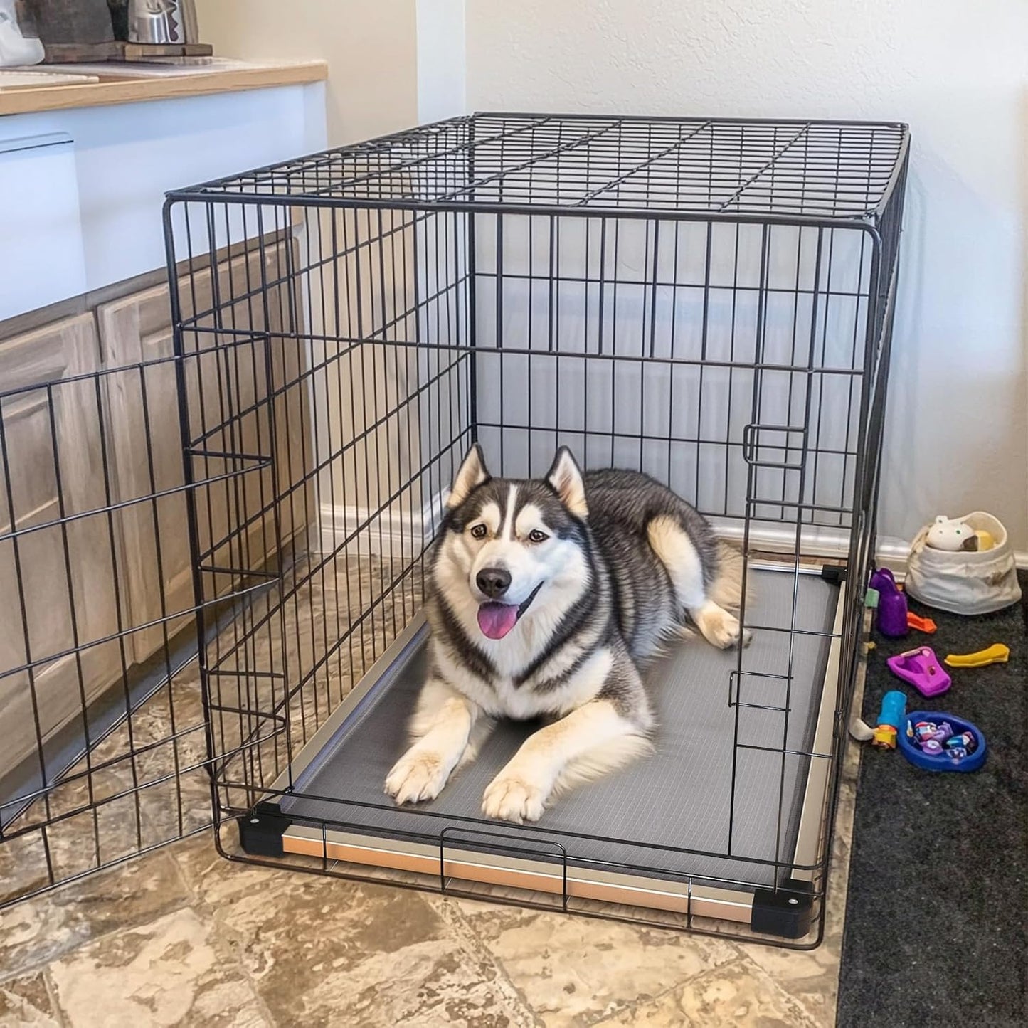 FXW TitanNest Chew-Proof Elevated Dog Bed, Raised Cot for Indoor/Outdoor/Camping Use, Durable & Washable Padded Pet Bed for Medium Dogs, 41.0" L x 27.0" W x 5.0" H, Gray