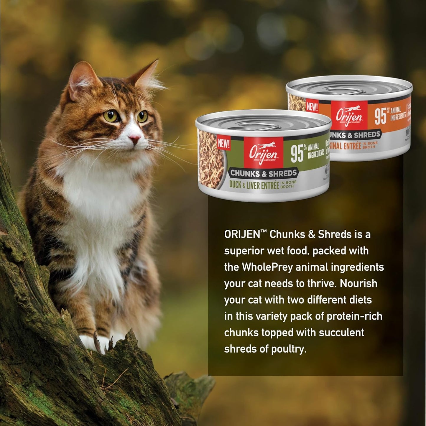 ORIJEN Chunks & Shreds Wet Cat Food Variety Pack: Original + Duck & Liver Recipes 3oz Cans (12 Count, 6 of Each)