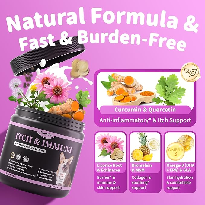 Itch Relief for Dogs - Turmeric Supplements for Itching Skin Comfort & Coat Health & Seasonal Allergy Care, Immune Support Supplement with Omega-3 Fish Oil, Biotin - Chicken Flavor - 90 Count