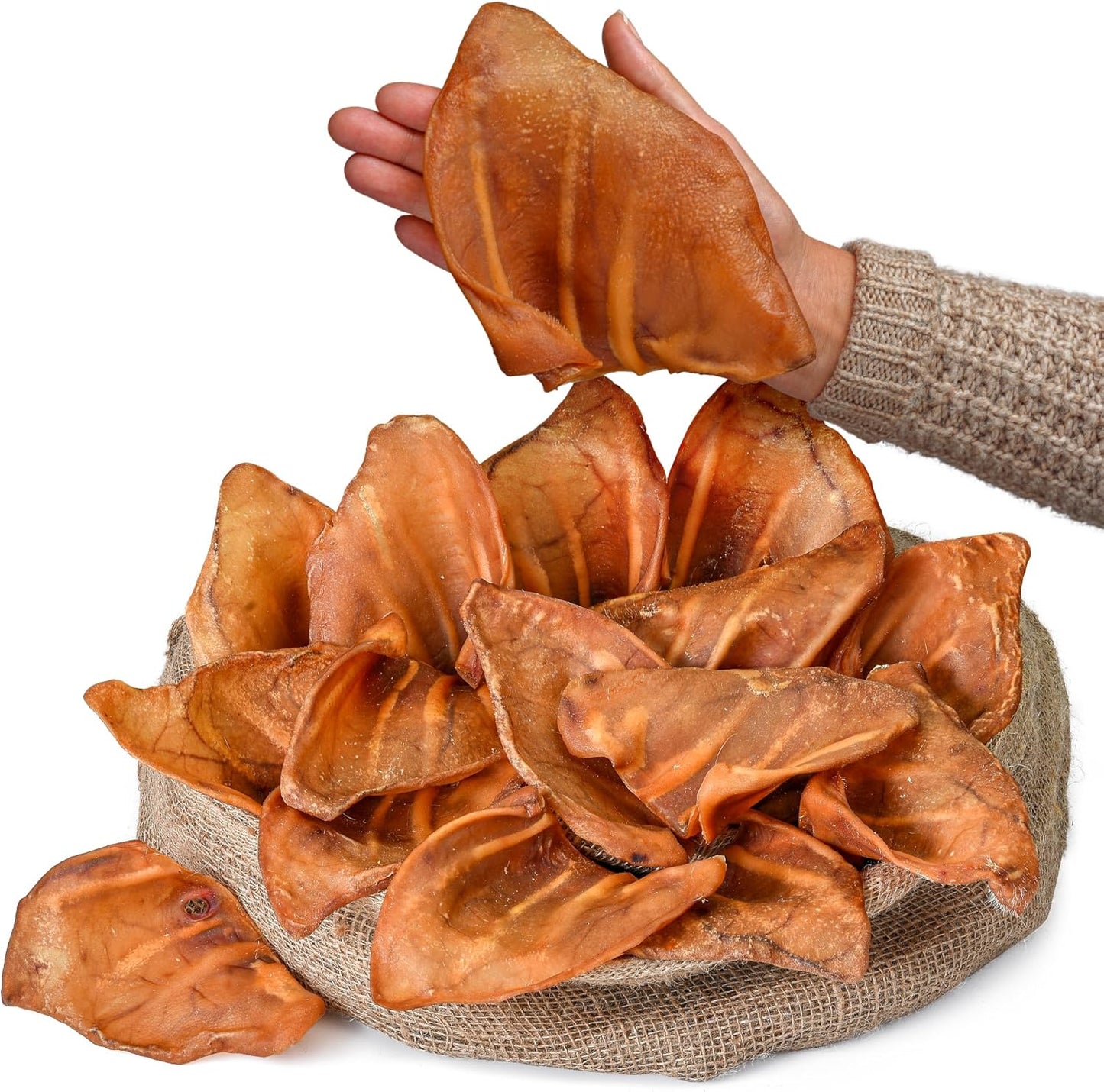 Natural Dog Treats – 15 Count (1.4 lb) | Single Ingredient | Rawhide Alternative | Healthy Chews for All Breed