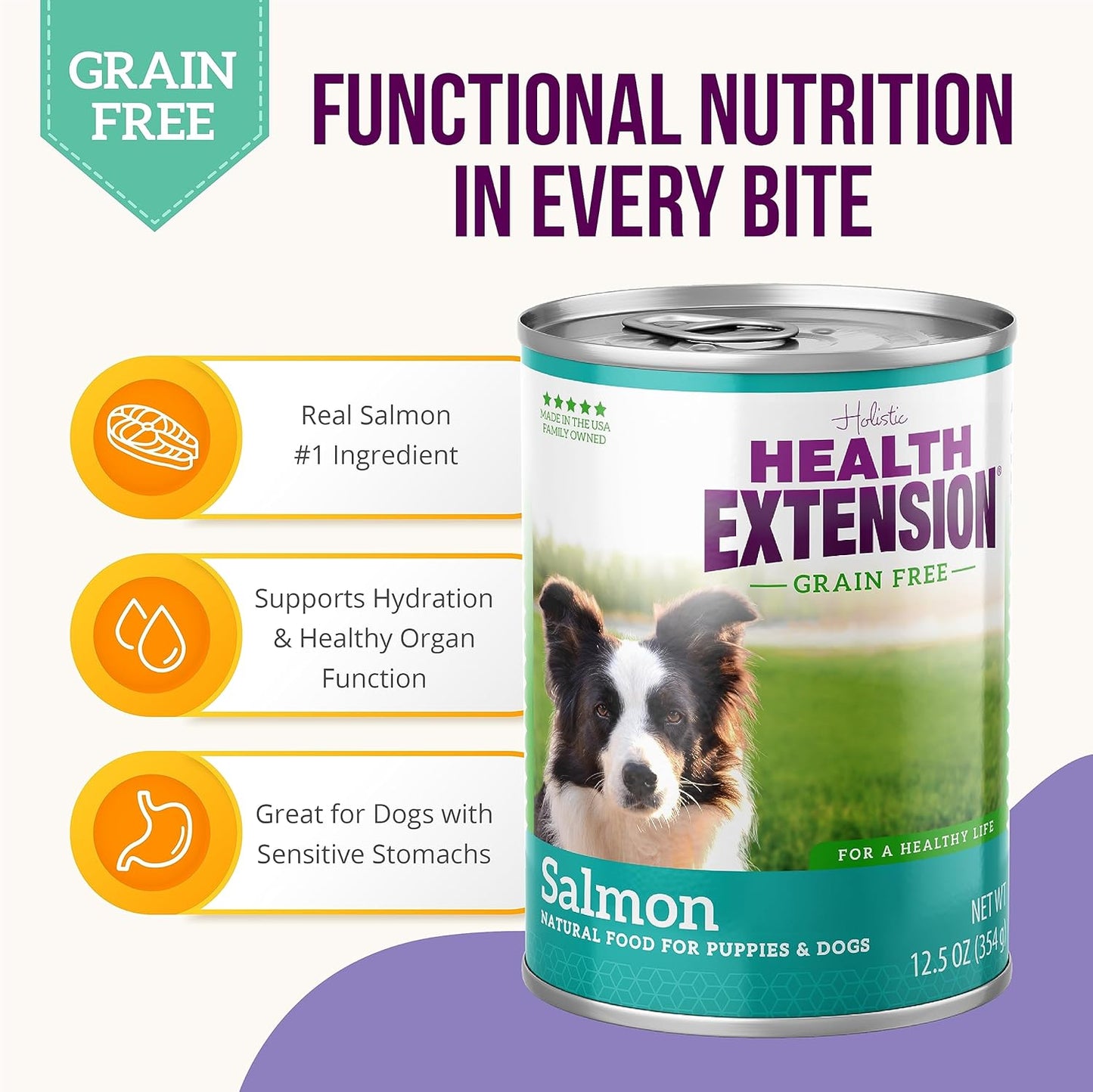 Health Extension 95% Salmon Entrée Wet Dog Food Grain-Free, 12.5 oz – Protein-Rich Recipe, Hydration Support, Ideal for Sensitive Stomachs (Case of 12 Cans)