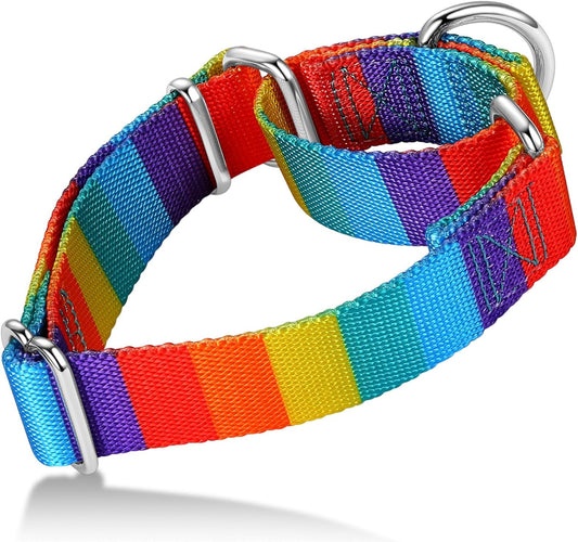 Martingale Dog Collar Colorful Gradient Fashionable - Anti-Escape Soft Durable Pets Collar for Walking Training Outdoor Daily Use -Medium, Sunny Rainbow