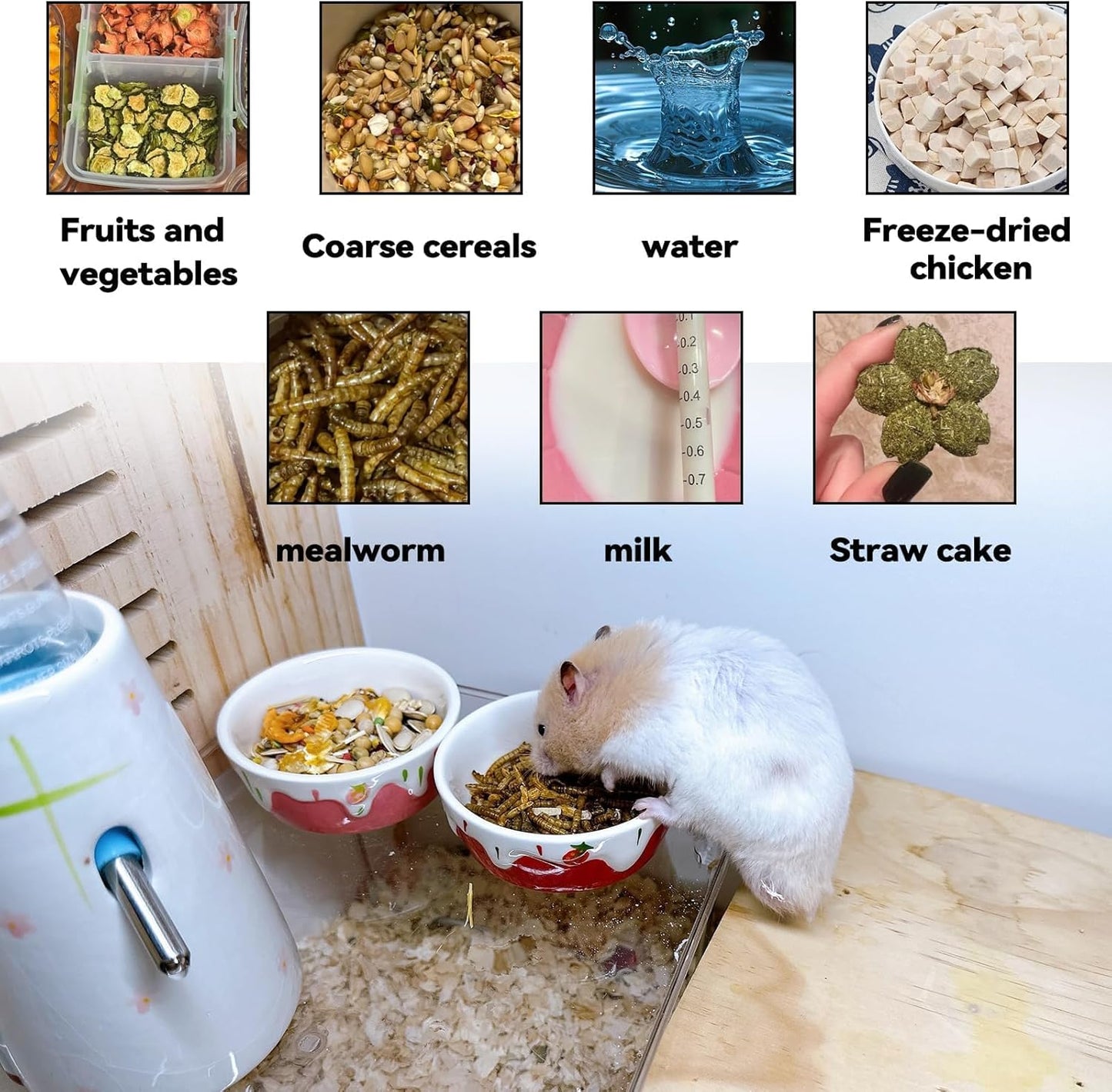 2 Pack Hamster Food Bowl Small Animals Ceramic Food Water Bowl Prevent Tipping Moving for Gerbil Chinchilla Hedgehog Rat (Color: Pink + Red)