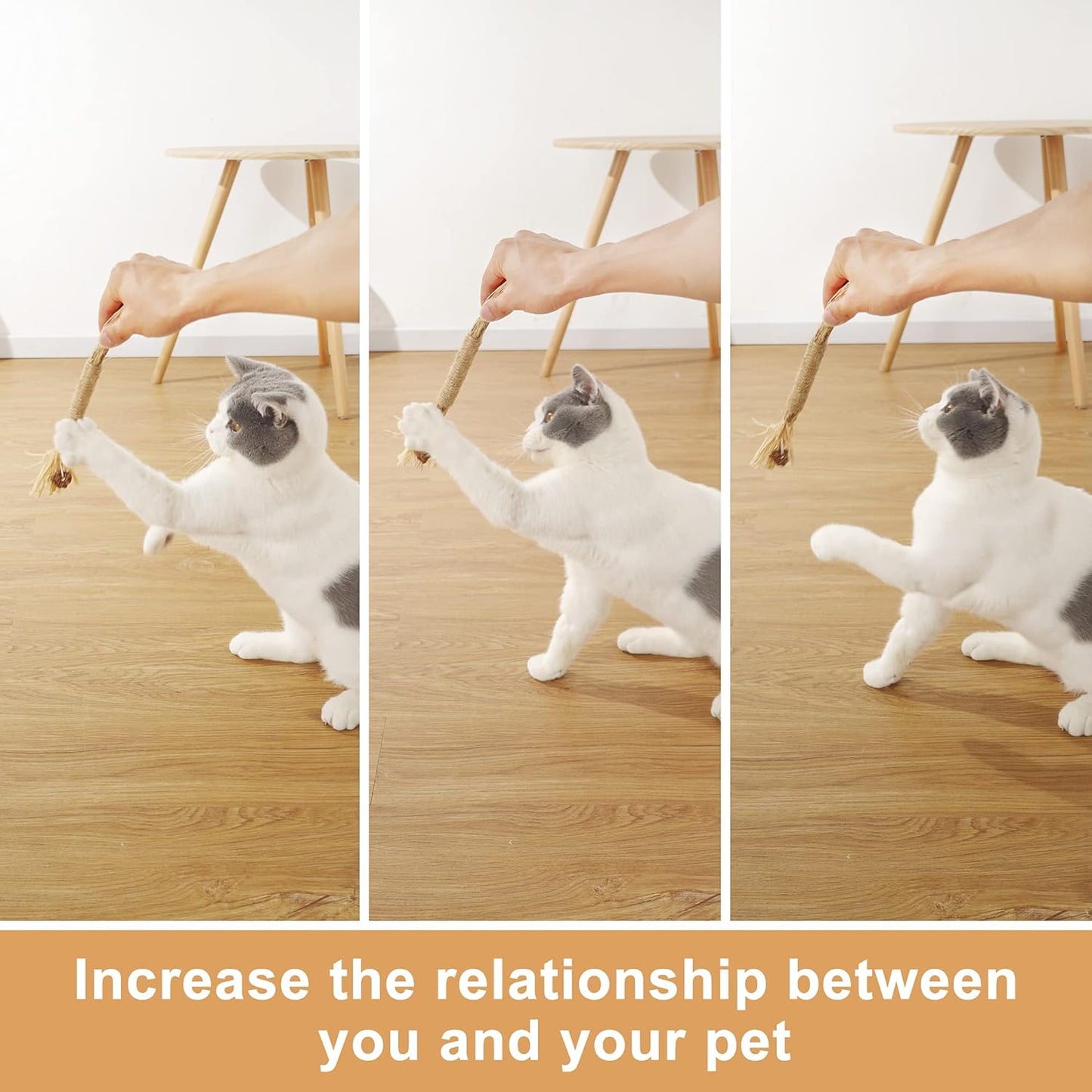 PAZ'S GIFT Catnip Toy cat Toys Catnip Toy cat chew Toy cat Kicking silvervine Stick Teeth Cleaning Cute Kitten Teething Indoor Interactivecat Dental Care Matatabi (Chewing cat Toys)