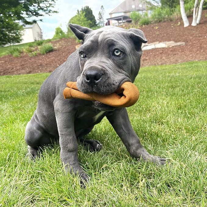 Pet Factory American Beefhide 3" Donuts Dog Chew Treats - Chicken Flavor, 8 Count/1 Pack