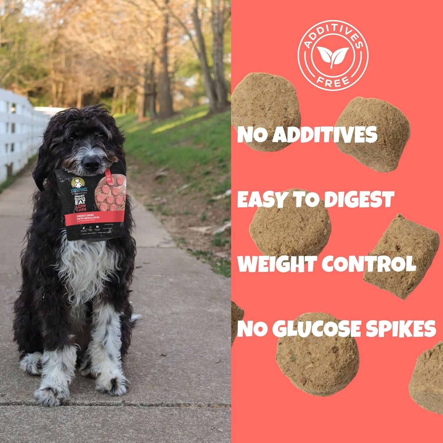 Visionary Pet Foods Beef Freeze Dried Dog Treats - 310x Medallions Keto and Diabetic Friendly - Additive Free, Made in USA Low Carb, High Protein - Healthy Dog Training Treats, Resealable Bag