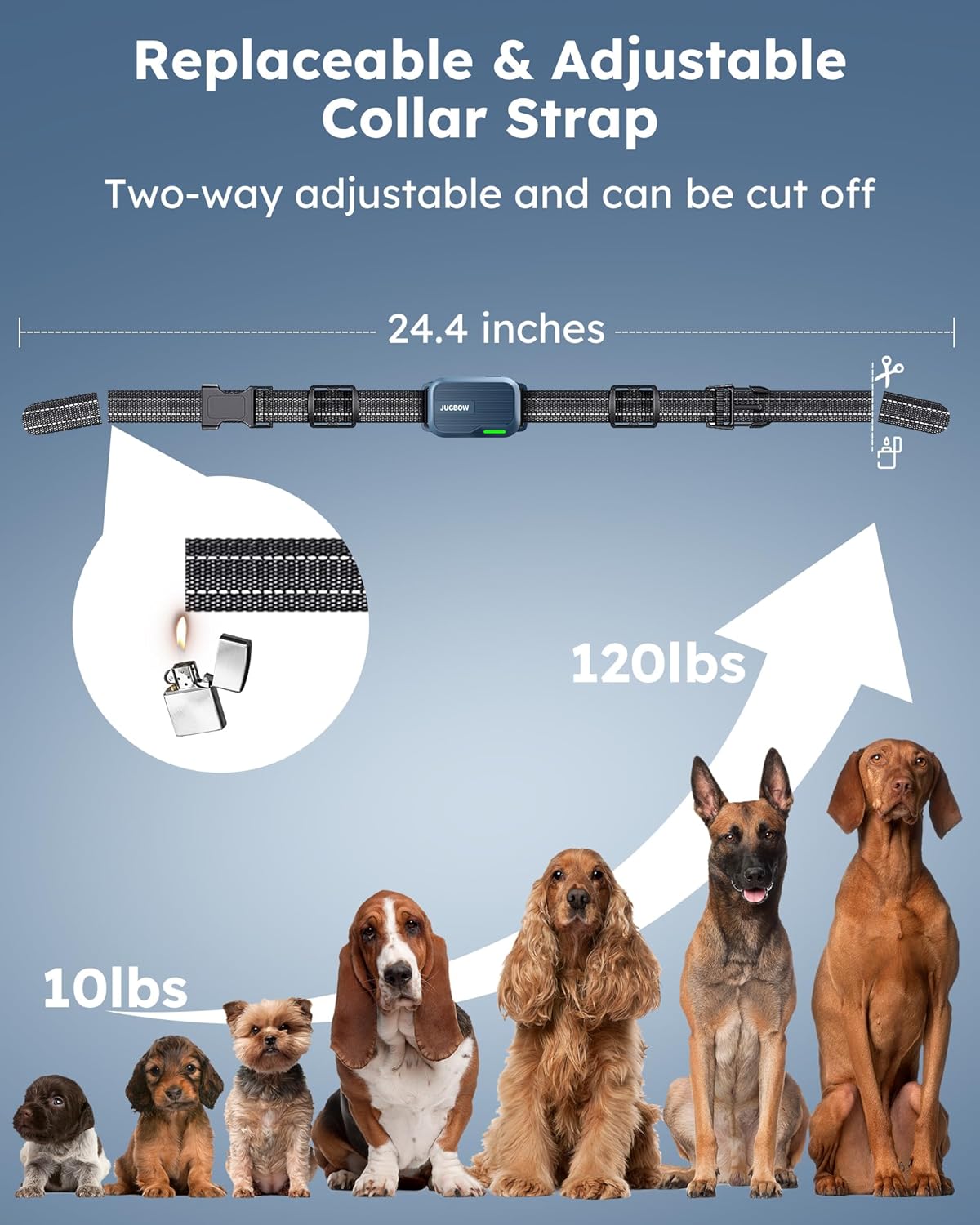 Jugbow Dog Shock Collar 2 Dogs (10-120Lbs) - 4200FT Dog Training Collar with Remote IPX7 Waterproof Electric Collar with 4 Training Modes, Rechargeable e-Collar for Lager Medium Small Dog Cyan Blue