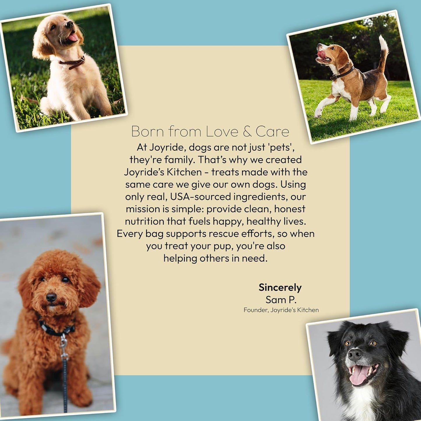 Joyride's Kitchen Freeze-Dried Beef Liver Dog Treats, Single Ingredient, All-Natural, Protein-Rich Dog Training Treats, Made in USA - Perfect for Picky Eaters, Supports Rescue Dogs