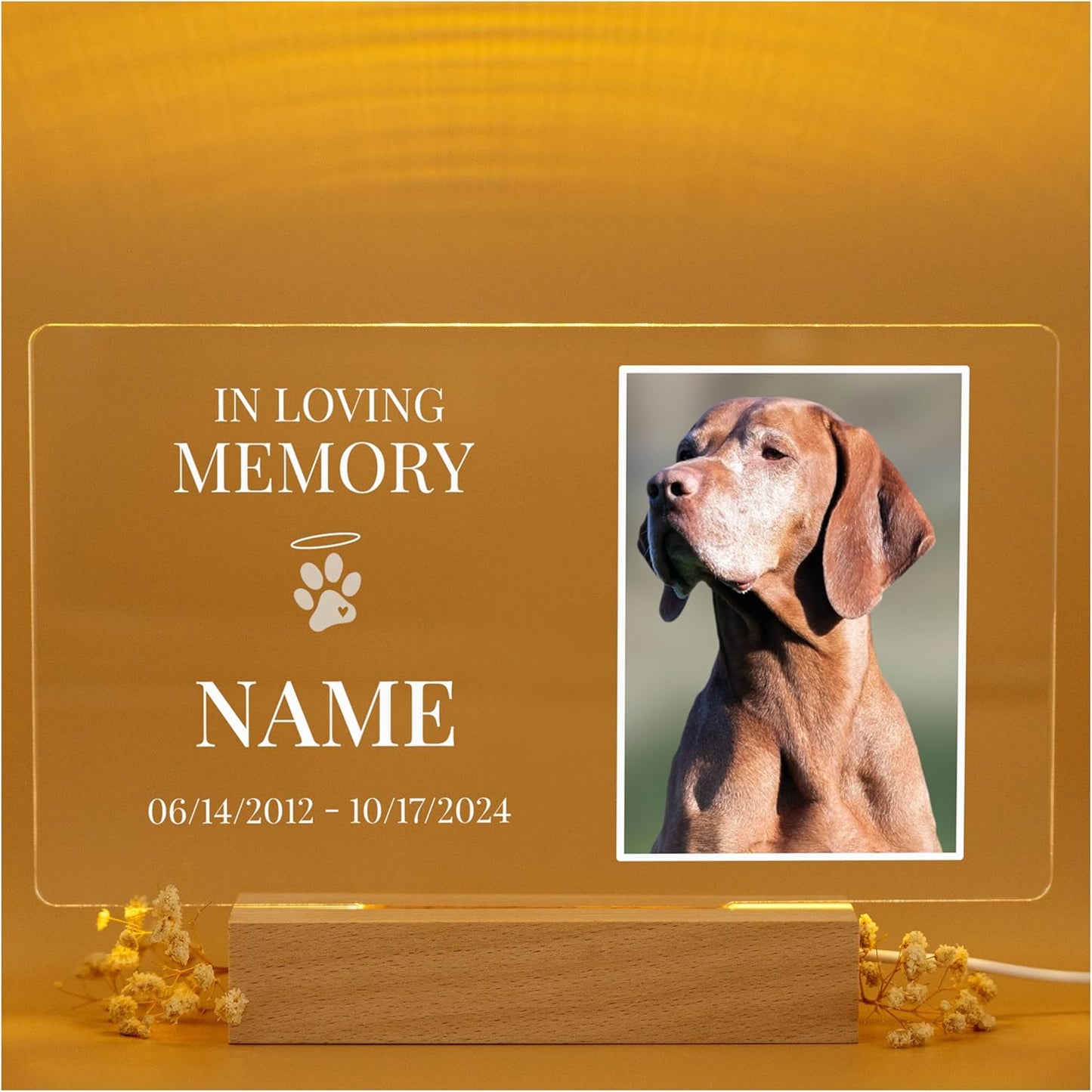 in Memory of Dog/Losing my Best Friend Dog - Loss of Dog Sympathy Gift/Dog Memorial Gifts - Pet Memorial Gifts - Dog Memorials & Funerary Personalized Acrylic Plaque loss of pet gifts