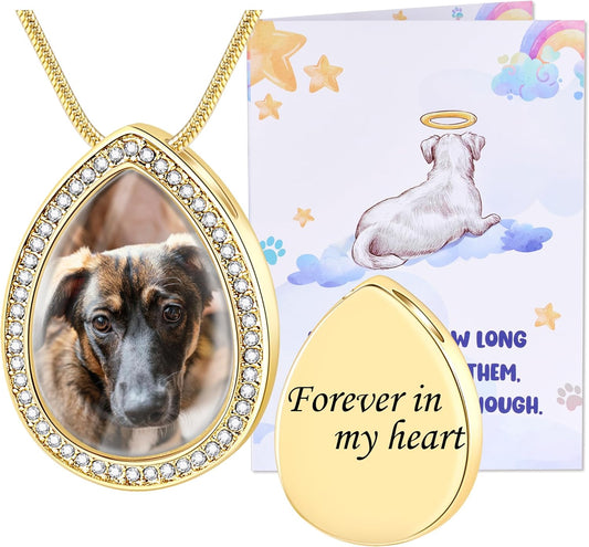 Fanery Sue Personalized Pet Ashes Necklace for Dog Cat Custom Photo&Text Pet Loss Sympathy Gift Cremation Jewelry
