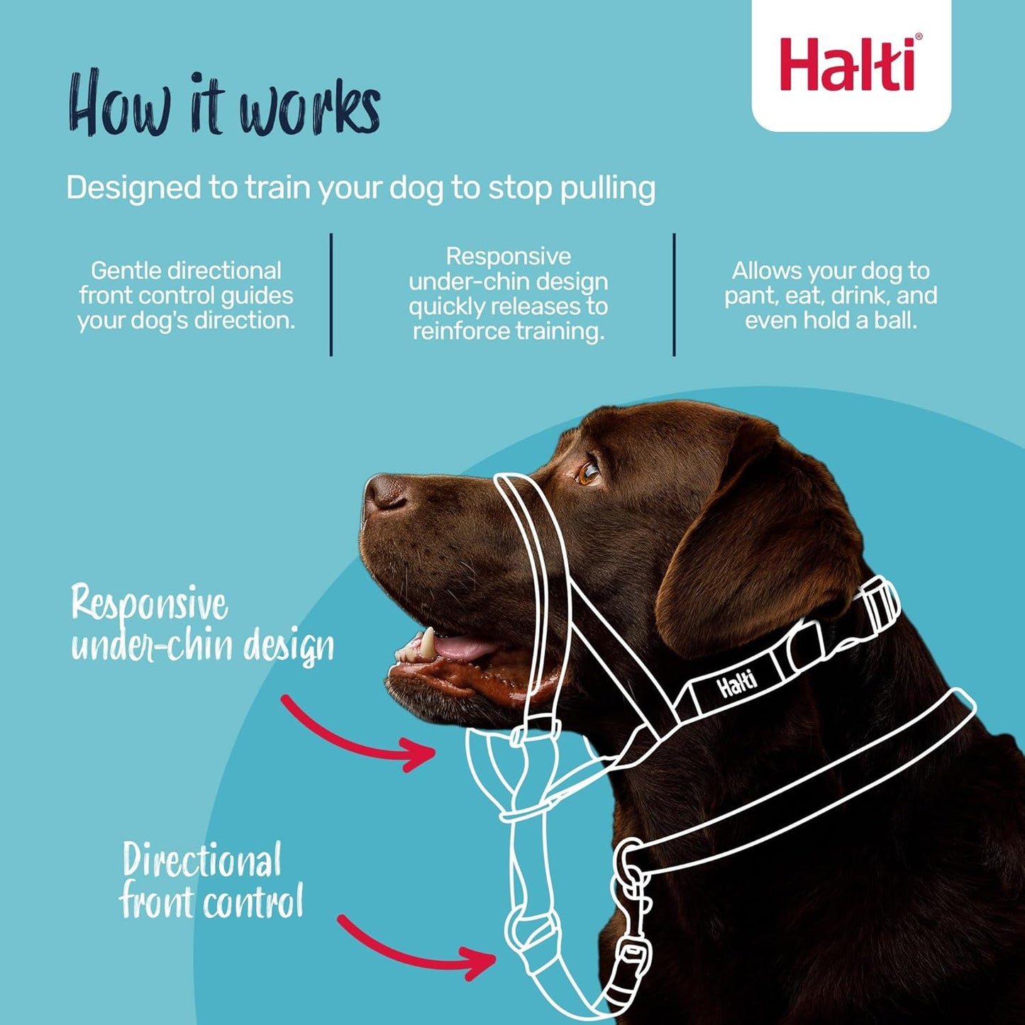 HALTI Headcollar - To Stop Your Dog Pulling on the Leash. Adjustable, Reflective and Lightweight, with Padded Nose Band. Dog Training Anti-Pull Collar for Medium Dogs (Size 3, Red)