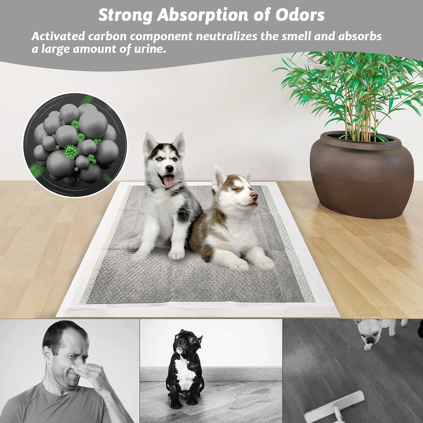 Fhiny Pee Pads for Small Dogs, 24" x 24" 40 PCS Large Disposable Puppy Pads Leak-Proof Super Absorbent Charcoal Potty Training Pad with Quick-Dry Surface for Dogs Puppies Cats Kittens or Small Pets